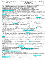 Phong trào tìm hiểu lịch sử Đội