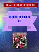 Bài soạn môn học Tiếng Anh 11 - Unit 6: Competitions - Reading