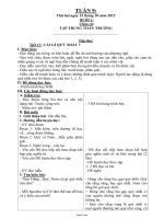 Giáo án Tổng hợp môn học lớp 5 - Tuần thứ 9