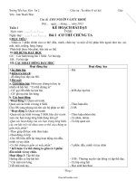 Giáo án Môn: Tự nhiên xã hội 1, kì I - Trường Tiểu học Viên An 2