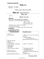 Thiết kế bài dạy các môn học lớp 1 - Tuần 16 - Trường tiểu học Thạch Hòa