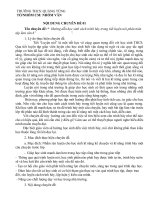 Chuyên đề nhóm Ngữ Văn : “ Hướng dẫn học sinh cách trình bày trong tiết luyện nói phân môn tập làm văn 6” ”.