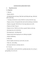 STEM KÍNH TIỀM VỌNG