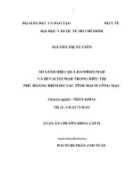 so sánh hiệu quả ranibizumab và bevacizumab trong điều trị phù hoàng điểm do tắc tĩnh mạch võng mạc 