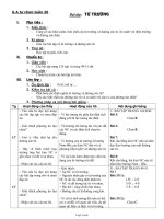 Giáo án Tự chọn môn Vật lý 11 - Từ trường