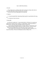 Giáo án môn Tìm hiểu môi trường - Bài 13: Một số loài hoa