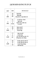 Giáo án dạy học lớp 1 - Tuần 28 (chi tiết)