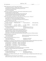 Tranh vẽ đề tài Bạo Lực Học Đường