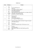 Giáo án môn học lớp 2 - Tuần 16