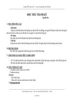 Giáo án Ngữ văn 10: Độc tiểu thanh ký - Nguyễn Du