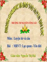 LTVC 4 MRVT: Lạc quan-Yêu đời( Nguyễn Thị Hải)