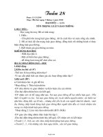 Giáo án Tổng hợp Lớp 4 - Tuần 28 - Năm học 2007-2008