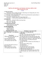 Giáo án Tự chọn lớp 10 - Những lỗi thường gặp trong sử dụng tiếng việt thực hành sửa lỗi