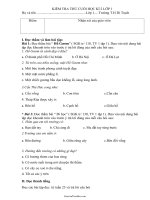 Kiểm tra thử cuối học kì 2 lớp 1