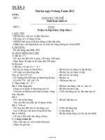 Giáo án Tổng hợp môn học lớp 4 - Tuần dạy 03 năm 2013