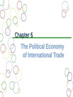 The political economy of international trade (INTERNATIONAL BUSINESS) 