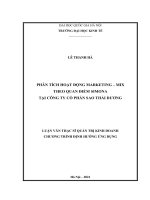 Phân tích hoạt động marketing – mix theo quan điểm simona tại công ty cổ phần sao thái dương 