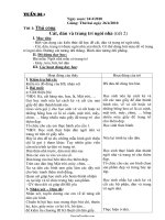 Giáo án các môn học lớp 1 (buổi chiều) - Tuần 33