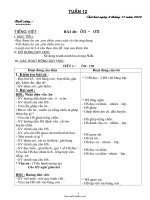 Kế hoạch giảng dạy môn học lớp 1 - Tuần 12 năm 2010