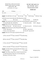 Đề thi thử Tốt nghiệp THPT Quốc gia môn Sinh học Lớp 12 - Mã đề 362 - Năm học 2019-2020 - Trường THPT Nguyễn Văn Thoại