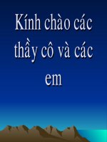 Phong trào nuôi heo đất 