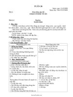 Bài soạn Tổng hợp môn học lớp 1 - Tuần 28 năm học 2009