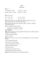 Đề ôn tập toán, tiếng Việt lớp 5 đợt nghỉ dịch Covid-19 Đề 13