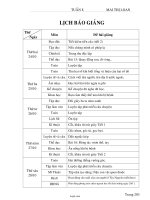 Giáo án giảng dạy các môn lớp 4 - Mai Thị Loan - Tuần 8