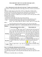 Tài liệu ôn tập Anh 9