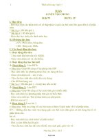 Giáo án môn Toán 5 - Tuần 17