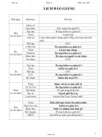 Giáo án giảng dạy các môn lớp 4 - Học kì I - Tuần 10