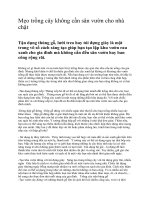 Mẹo trồng cây không cần sân vườn cho nhà chật