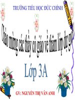 TNXHHO NOI HO NGOAI.ppt