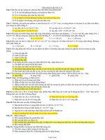 Đề cương ôn tập Vật Lí 11