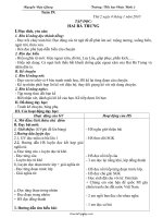 Kế hoạch giảng dạy khối lớp 1 - Tuần 19 - Trường: Tiểu học Châu Bình 2