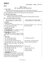 Giáo án dạy học lớp 5 - Tuần 6