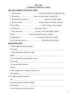 ôn tập 3 thcs cù chính lan