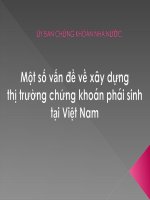 Một số vấn đề về xây dựng thị trường chứng khoán phái sinh tại việt nam (THỊ TRƯỜNG PHÁI SINH SLIDE) 