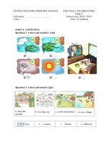 Đề KT ĐK Học kì II Môn Tiếng Anh - Lớp 5