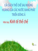 SEMINAR cải CÁCH THỂ CHẾ SAU KHỦNG HOẢNG của các nước ĐANG PHÁT TRIỂN ĐÔNG á (KINH tế THỂ CHẾ) 