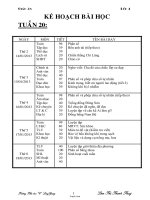 Giáo án tổng hợp môn lớp 4 - Tuần 20 - Trường Tiểu học “C” Long Giang