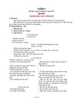 Giáo án tổng hợp môn lớp 5 - Tuần số 11
