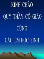 Bài giảng Ngữ văn 11 tiết 27, 28: Việt Bắc - Tố Hữu