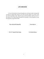 Nghiên cứu chế tạo và ảnh hưởng của các ion pha tạp lên cấu trúc và các tính chất từ của yttri sắt ganet 