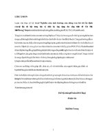 (Luận văn thạc sĩ file word) Nghiên cứu ảnh hưởng của dòng ven bờ tới ổn định của vật liệu đá hộc trong bảo vệ chân kè, ứng dụng cho công trình đê Cát Hải  Hải Phòng