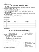 Giáo án Đại số CB lớp 10 tiết 19, 20: Đại cương về phương trình