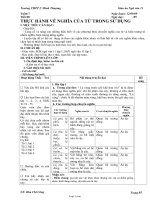 Giáo án môn Ngữ văn 11 - Tiết 28: Thực hành về nghĩa của từ trong sử dụng