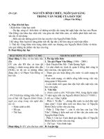 Giáo án Ngữ văn lớp 10 - Ôn tập: Nguyễn Đình Chiểu, ngôi sao sáng trong văn nghệ của dân tộc