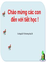 Môn Tập đọc Lớp 2B: Một trí khôn hơn trăm trí khôn (Tuần 22)