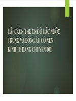 SEMINAR cải CÁCH THỂ CHẾ ở các nước TRUNG và ĐÔNG âu có nền KINH tế ĐANG CHUYỂN đổi (KINH tế THỂ CHẾ) 